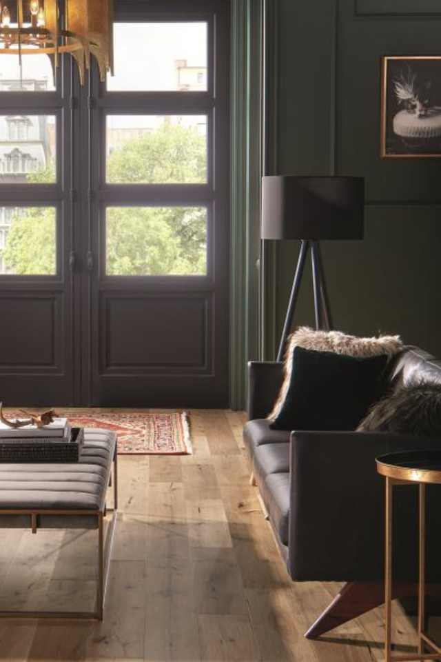 maximalist style living room with mid toned hardwood floors and oriental area rug at front door